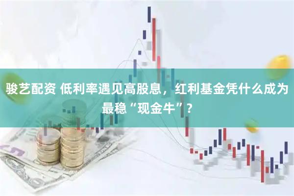 骏艺配资 低利率遇见高股息，红利基金凭什么成为最稳“现金牛”？