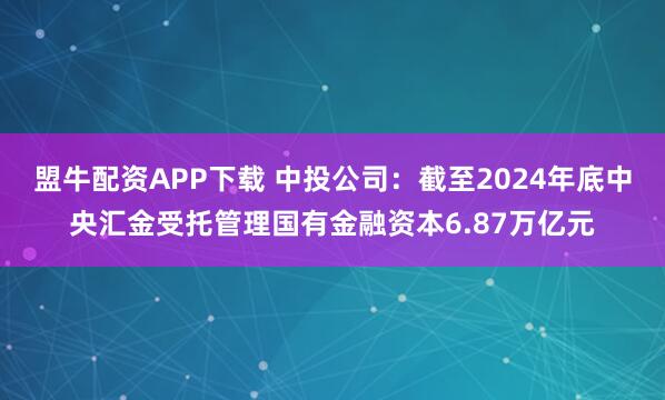 盟牛配资APP下载 中投公司:截至2024年底中央汇金受托管理国有金融资本6.87万亿元
