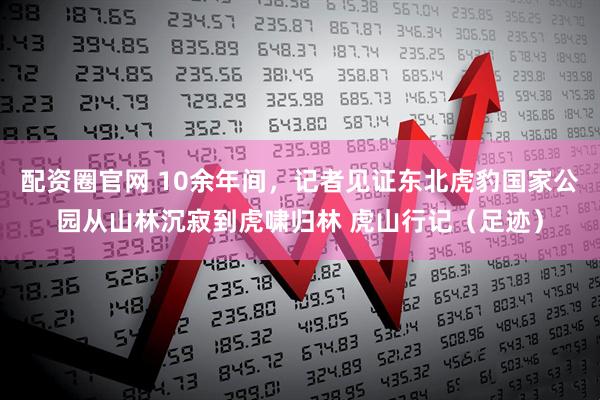 配资圈官网 10余年间，记者见证东北虎豹国家公园从山林沉寂到虎啸归林 虎山行记（足迹）